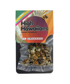 high hawaiians magic truffles
