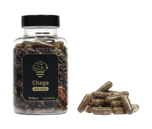 Best chaga mushroom extract