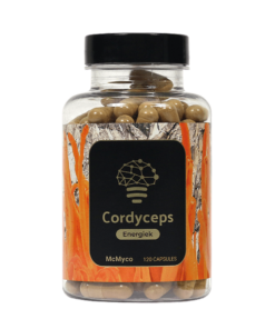 Cordyceps extract capsules