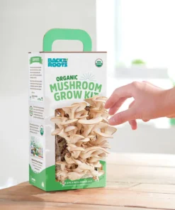 magic mushroom grow kit reviews
