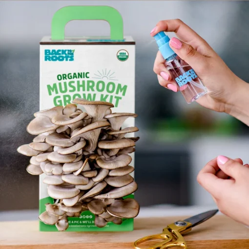 magic mushroom grow kit reviews