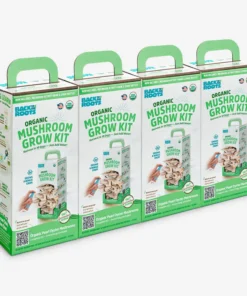 shroom grow kit