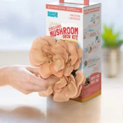psilocybin mushroom grow kit